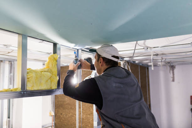 Best Soundproof Insulation  in Kimball, TN